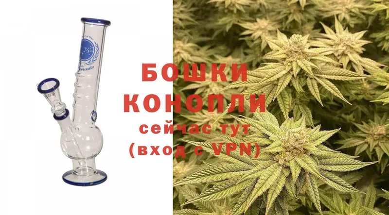 где найти   Фролово  Бошки марихуана конопля 